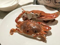 正蟹-餐海·海鲜自助餐厅(宝龙广场店)