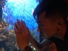 -暹罗海洋世界