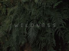 -鸡枕山