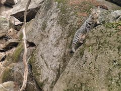 -崂山巨峰游览区