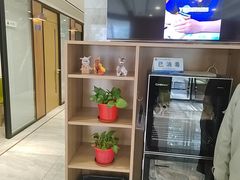 -北京派仕佳德动物医院·超导核磁·CT·神经科·骨科·内外科·急重症管理中心