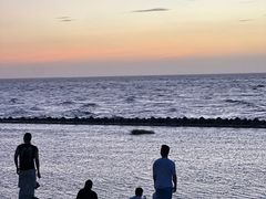 -南汇嘴观海公园