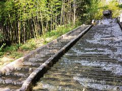 -祥源·阜阳生态乐园