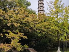 -江心屿景区