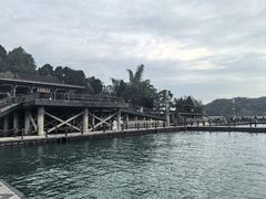 -金盆阿嬷香菇茶叶蛋(玄光店)