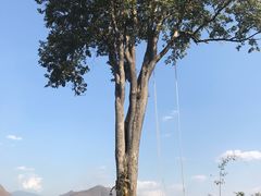 -黄色小屋