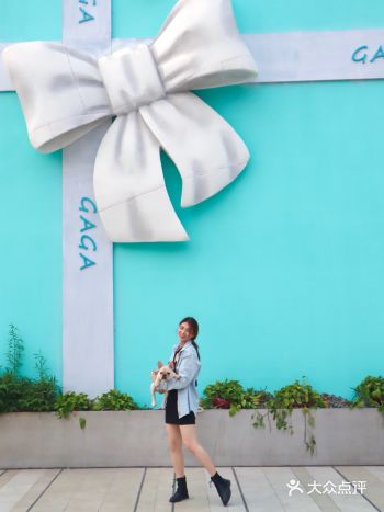 厦门探店 | 噔猪洗澡记