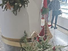 -夏佐CHASEL(横店康庄路店)