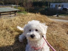 -前小桔亲子创意农场·草莓采摘·露营烧烤