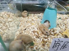 -乐宠宠物店(世纪金源店)