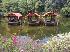 -侨美·唐荔园·40年地道粤菜