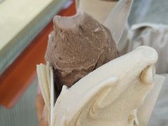 -野人先生现做冰淇淋(西安赛格店)