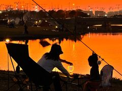 -春花秋色城市公园