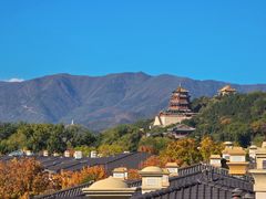 -龙湖星悦荟(颐和店)