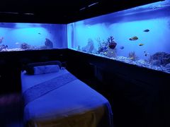 -避尘 Bsense·SPA(新会展总店)