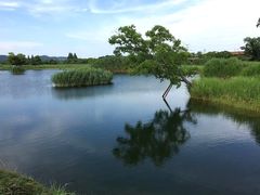 -良渚古城遗址公园
