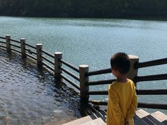 -白马涧龙池景区