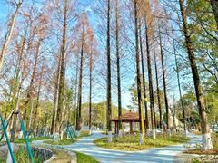 -宁波儿童公园(鄞州区)