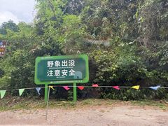 -野象谷景区