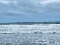 -渡海小渔村.老辈日照菜