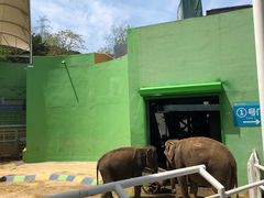 -大连森林动物园