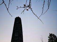 -上海佘山国家森林公园天马山园