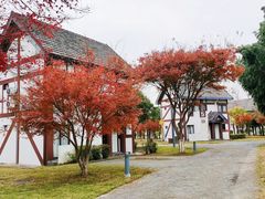 -太阳岛度假酒店