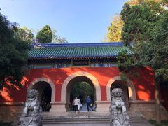 -灵谷景区