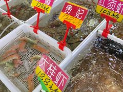 -华源餐厅·海鲜大排档(日月贝店)