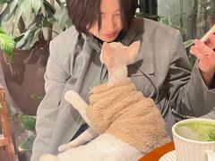 -自由生长植物工作室(深港花卉中心店)