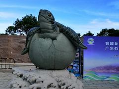 -广东惠东海龟国家级自然保护区