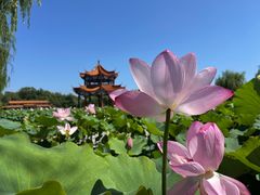 -南戴河国际娱乐中心