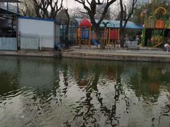 -团结湖公园