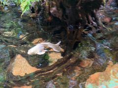 -太平洋海底世界