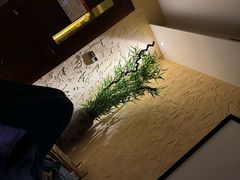 -沐·SPA悠享影院足道(海岸城店)