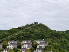 -黄贤森林公园