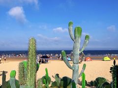 -巧克力渔家.小船海鲜胶东菜(万平口店)