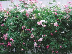 -石湖景区