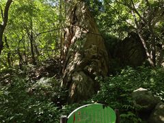 -大岭沟猕猴桃谷风景区
