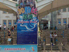 -白鹿温泉加勒比水上乐园