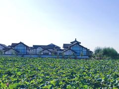 -呼兰河口湿地公园