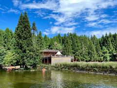 -武陵山森林公园