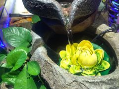 -欢乐牧场海鲜烤肉自助(牡丹园店)