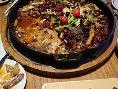 -老板恋上鱼(恒隆广场店)