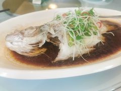 -和平官邸·花园餐厅(武定西路店)