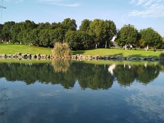 -九里河湿地公园