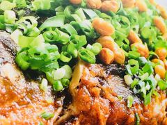 -食家鸽园