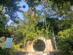 -广西壮族自治区药用植物园