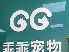 -乖乖宠物医院·猫科·急重症中心(车站北路分院)
