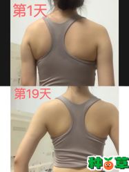 -Fundi张玉珊修身堂·indiba·BTL科技瘦身